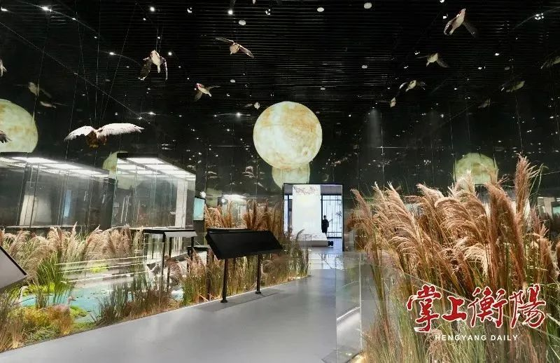 兴发娱乐·(中国游)最新官方网站